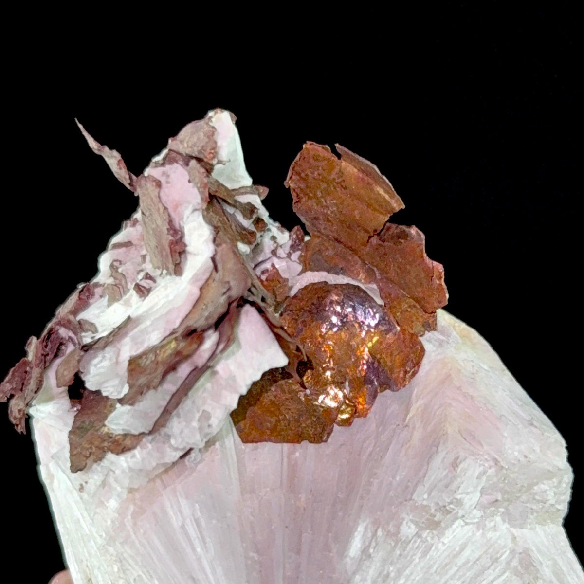 Copper on Scolecite Mineral Specimen | Ahmednagar, India