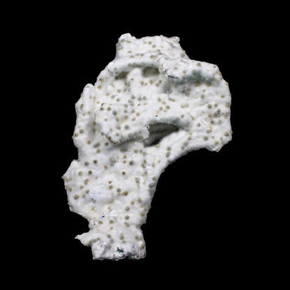 Rare Okenite with Chalcedony – Fibrous Indian Zeolite Mineral Specimen # G 7140 Okenite Superb Minerals