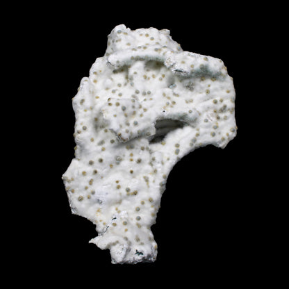 Rare Okenite with Chalcedony – Fibrous Indian Zeolite Mineral Specimen # G 7140 Okenite Superb Minerals