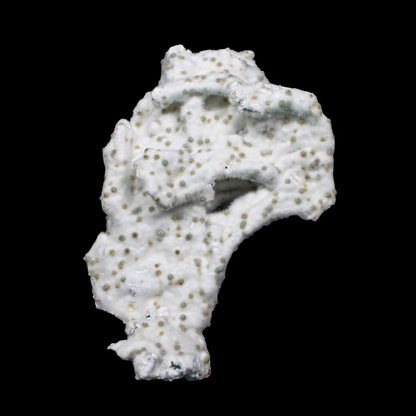 Rare Okenite with Chalcedony – Fibrous Indian Zeolite Mineral Specimen # G 7140 Okenite Superb Minerals