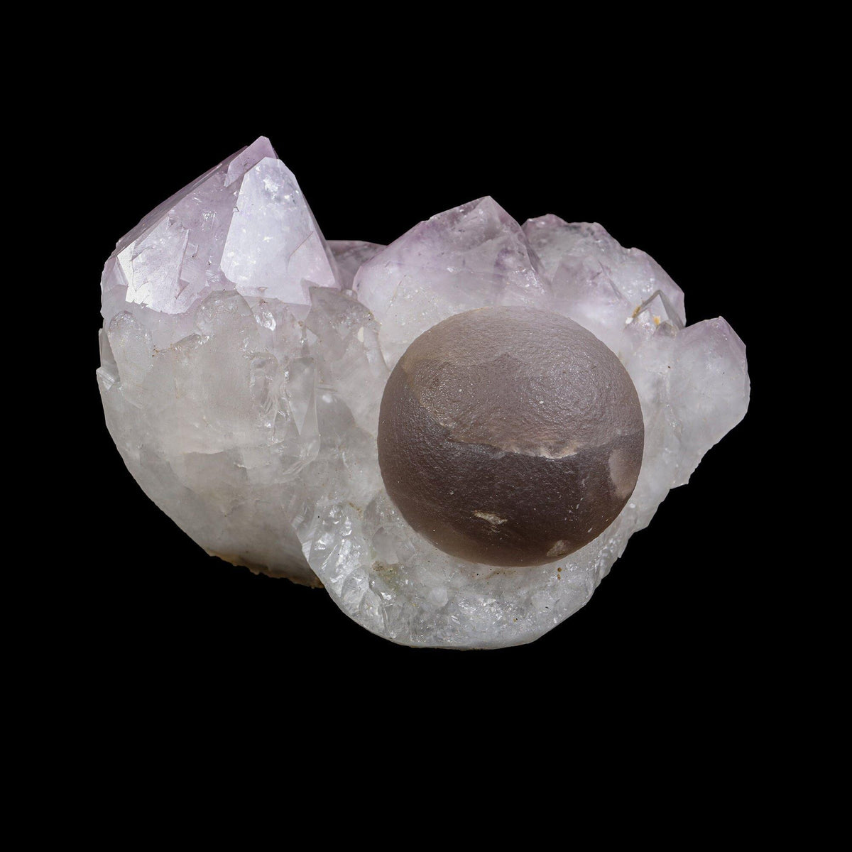 Rare Botryoidal Purple-Brown Fluorite Sphere Perched on Gemmy Amethyst Cluster - Collector’s Cabinet Specimen from Deshgaon, Madhya Pradesh, India# B 7248 Fluorite Superb Minerals
