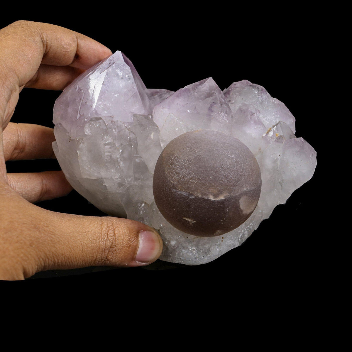 Rare Botryoidal Purple-Brown Fluorite Sphere Perched on Gemmy Amethyst Cluster - Collector’s Cabinet Specimen from Deshgaon, Madhya Pradesh, India# B 7248 Fluorite Superb Minerals