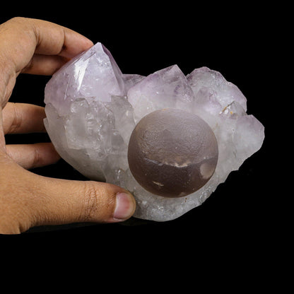 Rare Botryoidal Purple-Brown Fluorite Sphere Perched on Gemmy Amethyst Cluster - Collector’s Cabinet Specimen from Deshgaon, Madhya Pradesh, India# B 7248 Fluorite Superb Minerals