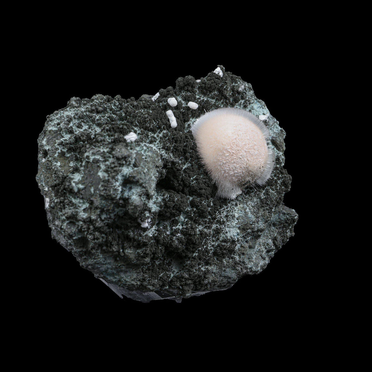 Pristine White Thomsonite Sphere with Fine Needle-Like Mesolite Sprays on Dark Volcanic Matrix - Collector’s Cabinet Specimen from Madhya Pradesh, India# B 7249 Thomsonite Superb Minerals