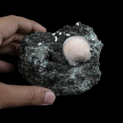 Pristine White Thomsonite Sphere with Fine Needle-Like Mesolite Sprays on Dark Volcanic Matrix - Collector’s Cabinet Specimen from Madhya Pradesh, India# B 7249 Thomsonite Superb Minerals