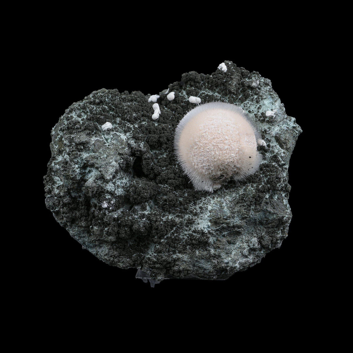 Pristine White Thomsonite Sphere with Fine Needle-Like Mesolite Sprays on Dark Volcanic Matrix - Collector’s Cabinet Specimen from Madhya Pradesh, India# B 7249 Thomsonite Superb Minerals