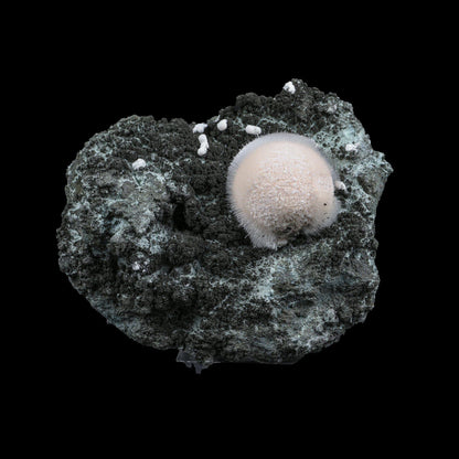 Pristine White Thomsonite Sphere with Fine Needle-Like Mesolite Sprays on Dark Volcanic Matrix - Collector’s Cabinet Specimen from Madhya Pradesh, India# B 7249 Thomsonite Superb Minerals