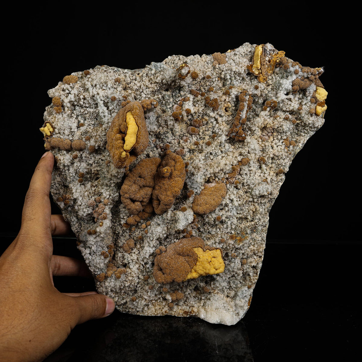 Large Museum-Grade Gyrolite Nodules on Heulandite & Micro-Quartz Matrix – # B 7242 Gyrolite Superb Minerals 