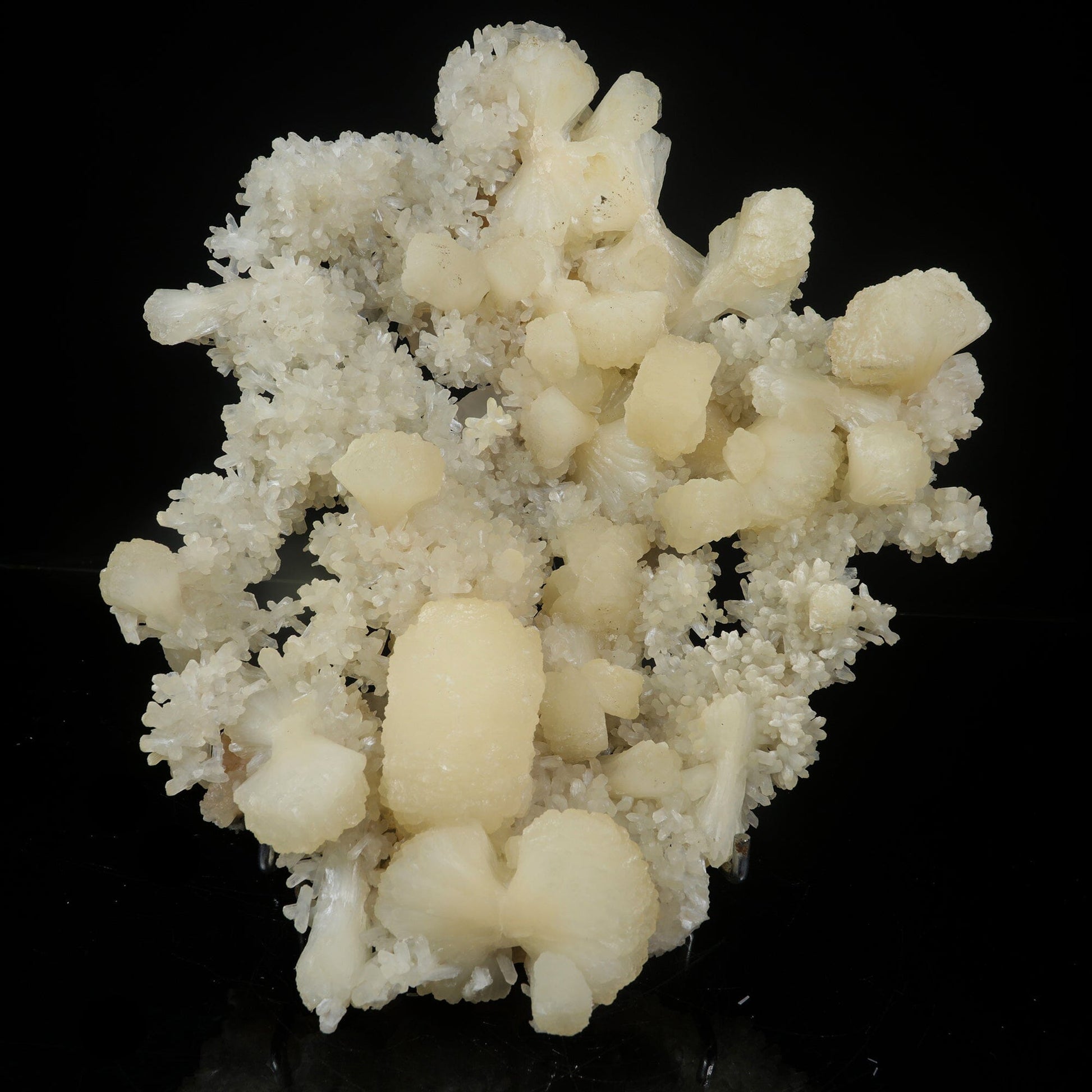 Large White Stilbite Plate on Matrix | Rare Indian Zeolite Mineral Specimen from Nashik # B 7122 Stilbite Superb Minerals 