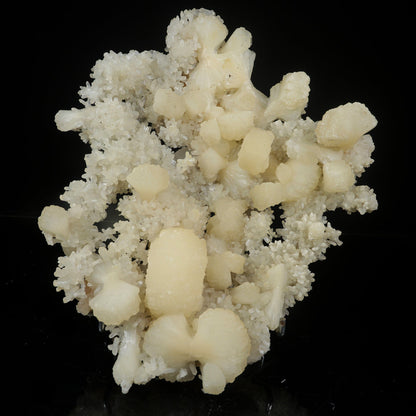Large White Stilbite Plate on Matrix | Rare Indian Zeolite Mineral Specimen from Nashik # B 7122 Stilbite Superb Minerals 