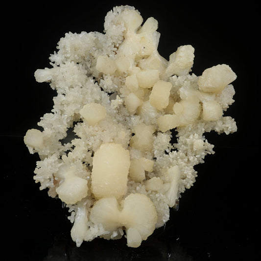 Large White Stilbite Plate on Matrix | Rare Indian Zeolite Mineral Specimen from Nashik # B 7122 Stilbite Superb Minerals 