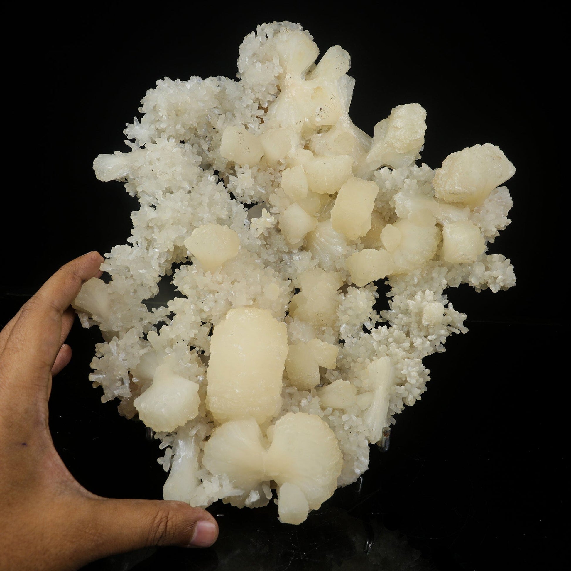 Large White Stilbite Plate on Matrix | Rare Indian Zeolite Mineral Specimen from Nashik # B 7122 Stilbite Superb Minerals 