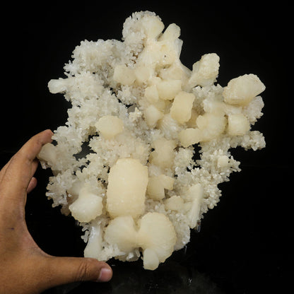 Large White Stilbite Plate on Matrix | Rare Indian Zeolite Mineral Specimen from Nashik # B 7122 Stilbite Superb Minerals 