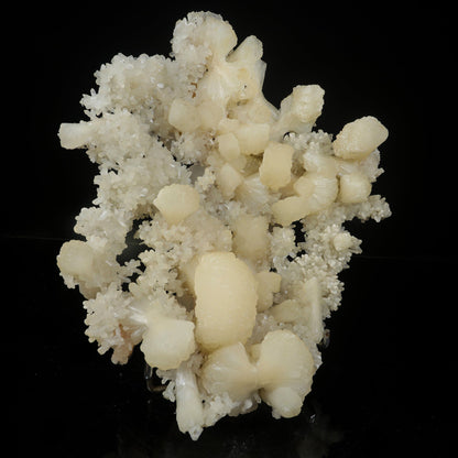 Large White Stilbite Plate on Matrix | Rare Indian Zeolite Mineral Specimen from Nashik # B 7122 Stilbite Superb Minerals 