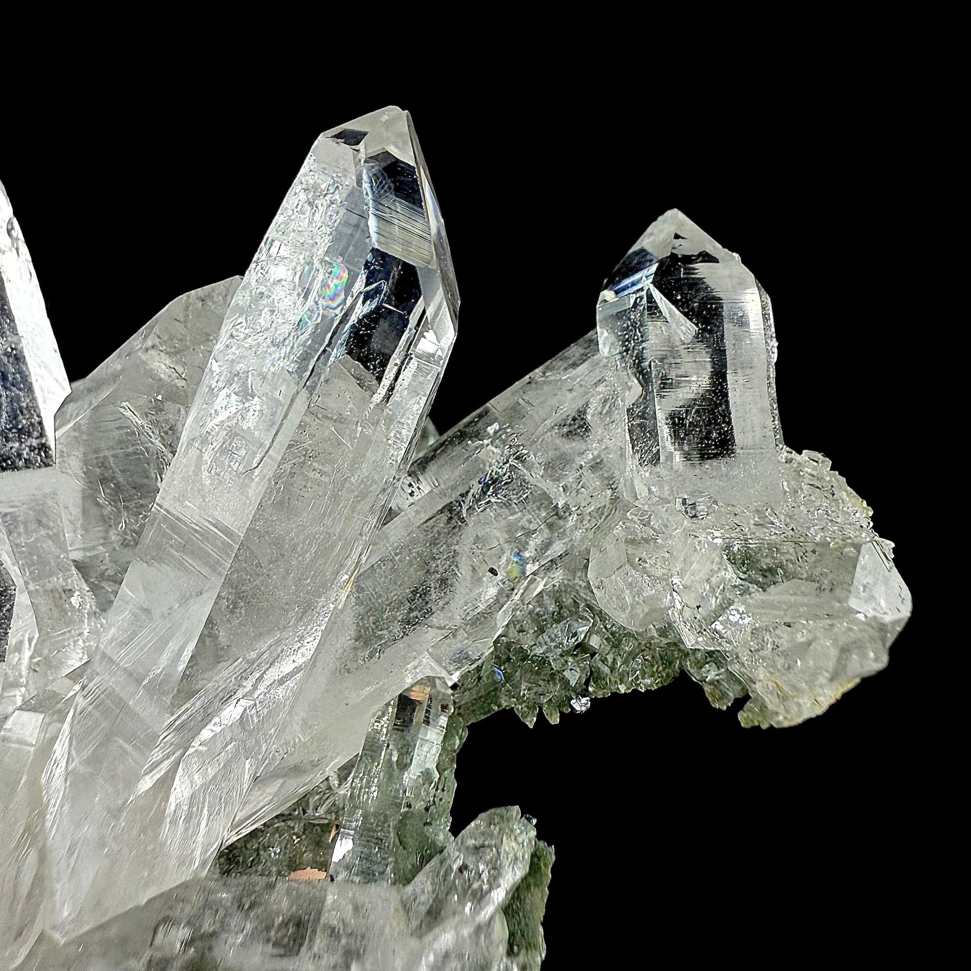 Lemurian Quartz on Chlorite Matrix | SELF STANDING | High Quality Mineral | Indian Mineral | Superb Minerals Quartz Superb Minerals 