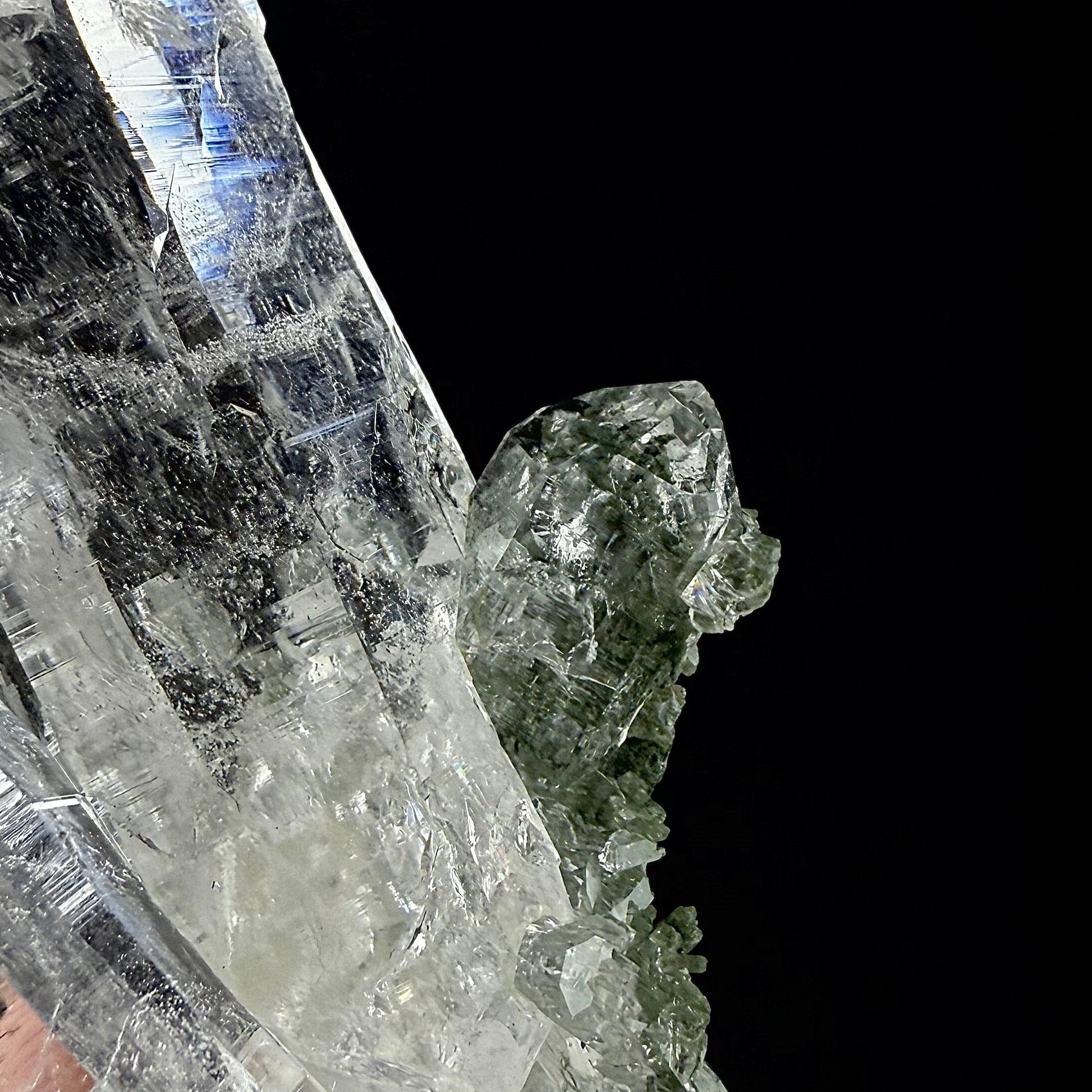 Lemurian Quartz on Chlorite Matrix | SELF STANDING | High Quality Mineral | Indian Mineral | Superb Minerals Quartz Superb Minerals 