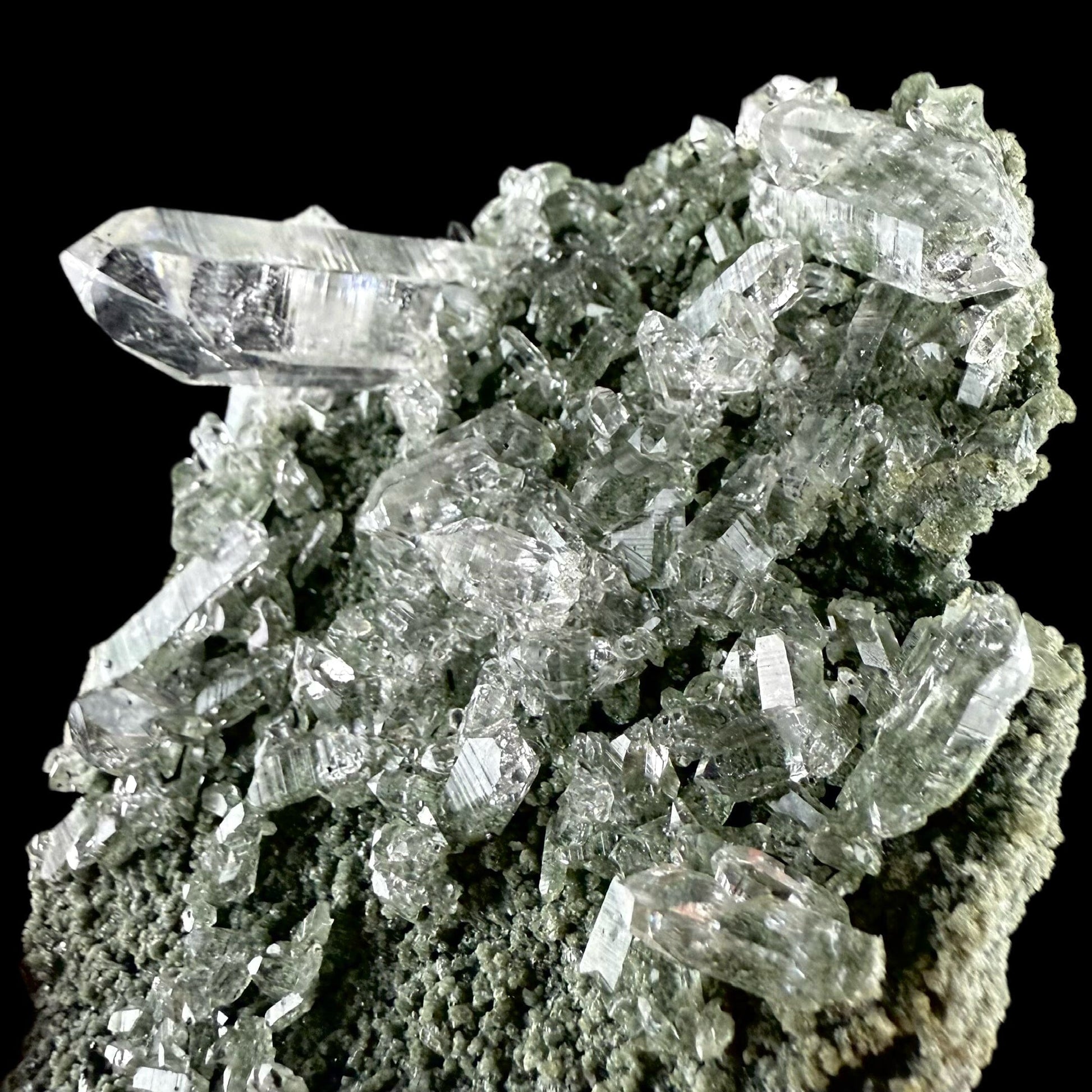 Lemurian Quartz on Sparkly Chlorite | High Quality Mineral | Indian Mineral | Superb Minerals | Collectors Piece | Fine Mineral Quartz Superb Minerals 