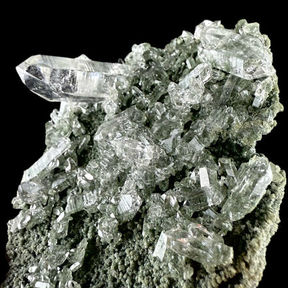 Lemurian Quartz on Sparkly Chlorite | High Quality Mineral | Indian Mineral | Superb Minerals | Collectors Piece | Fine Mineral Quartz Superb Minerals 