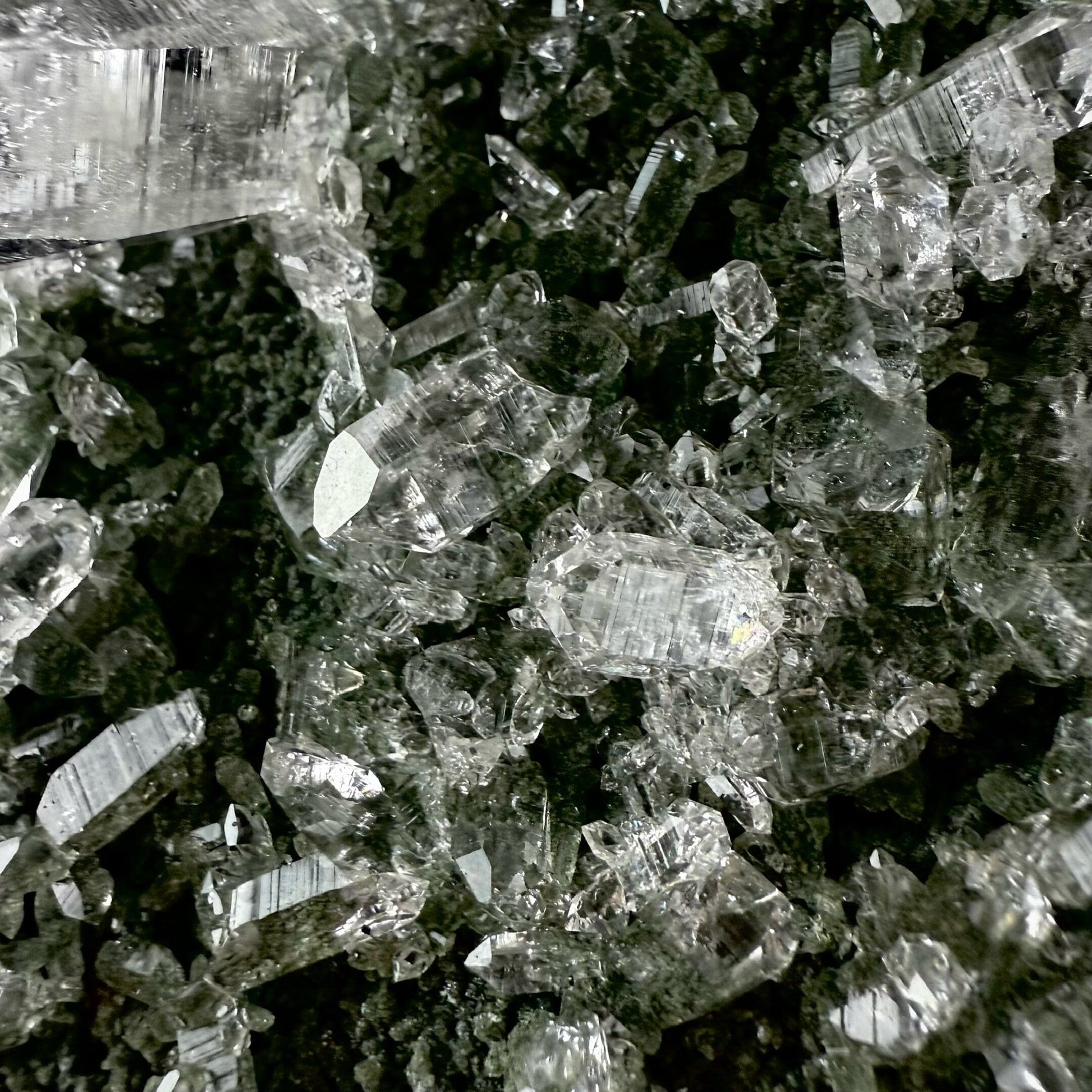 Lemurian Quartz on Sparkly Chlorite | High Quality Mineral | Indian Mineral | Superb Minerals | Collectors Piece | Fine Mineral Quartz Superb Minerals 