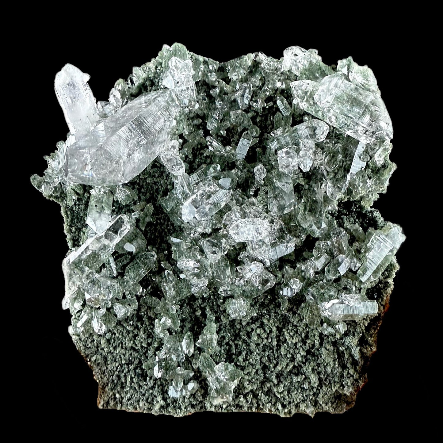 Lemurian Quartz on Sparkly Chlorite | High Quality Mineral | Indian Mineral | Superb Minerals | Collectors Piece | Fine Mineral Quartz Superb Minerals 