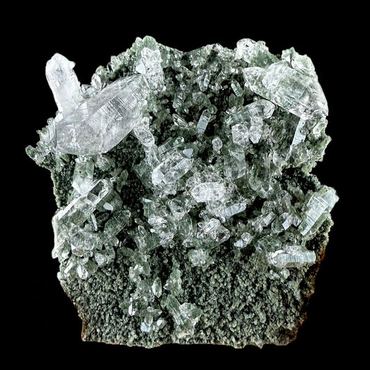 Lemurian Quartz on Sparkly Chlorite | High Quality Mineral | Indian Mineral | Superb Minerals | Collectors Piece | Fine Mineral Quartz Superb Minerals 