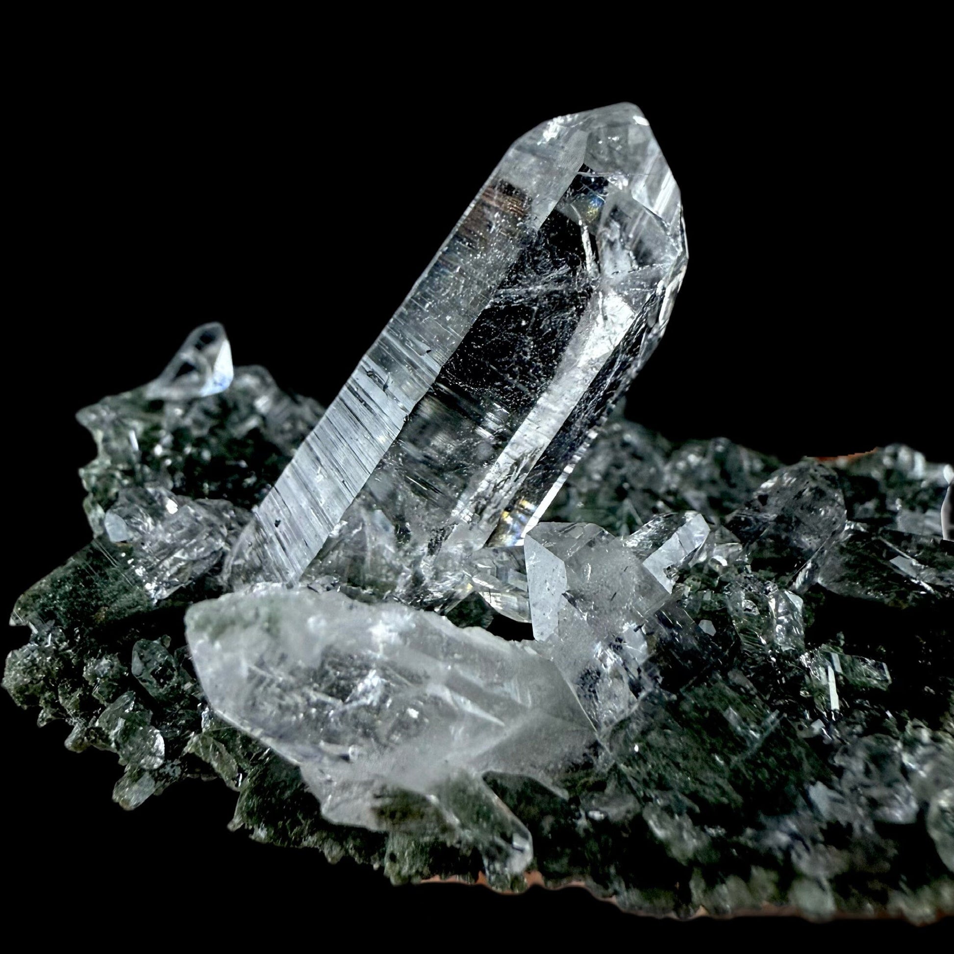 Lemurian Quartz on Sparkly Chlorite | High Quality Mineral | Indian Mineral | Superb Minerals | Collectors Piece | Fine Mineral Quartz Superb Minerals 