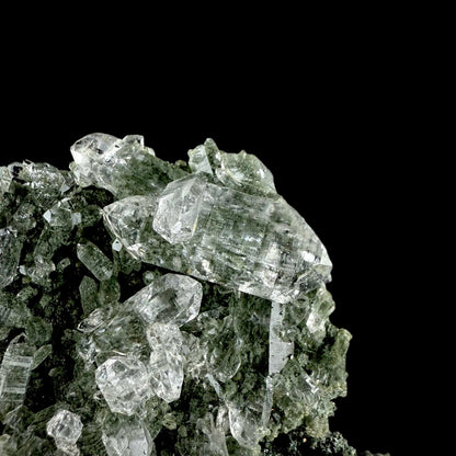 Lemurian Quartz on Sparkly Chlorite | High Quality Mineral | Indian Mineral | Superb Minerals | Collectors Piece | Fine Mineral Quartz Superb Minerals 