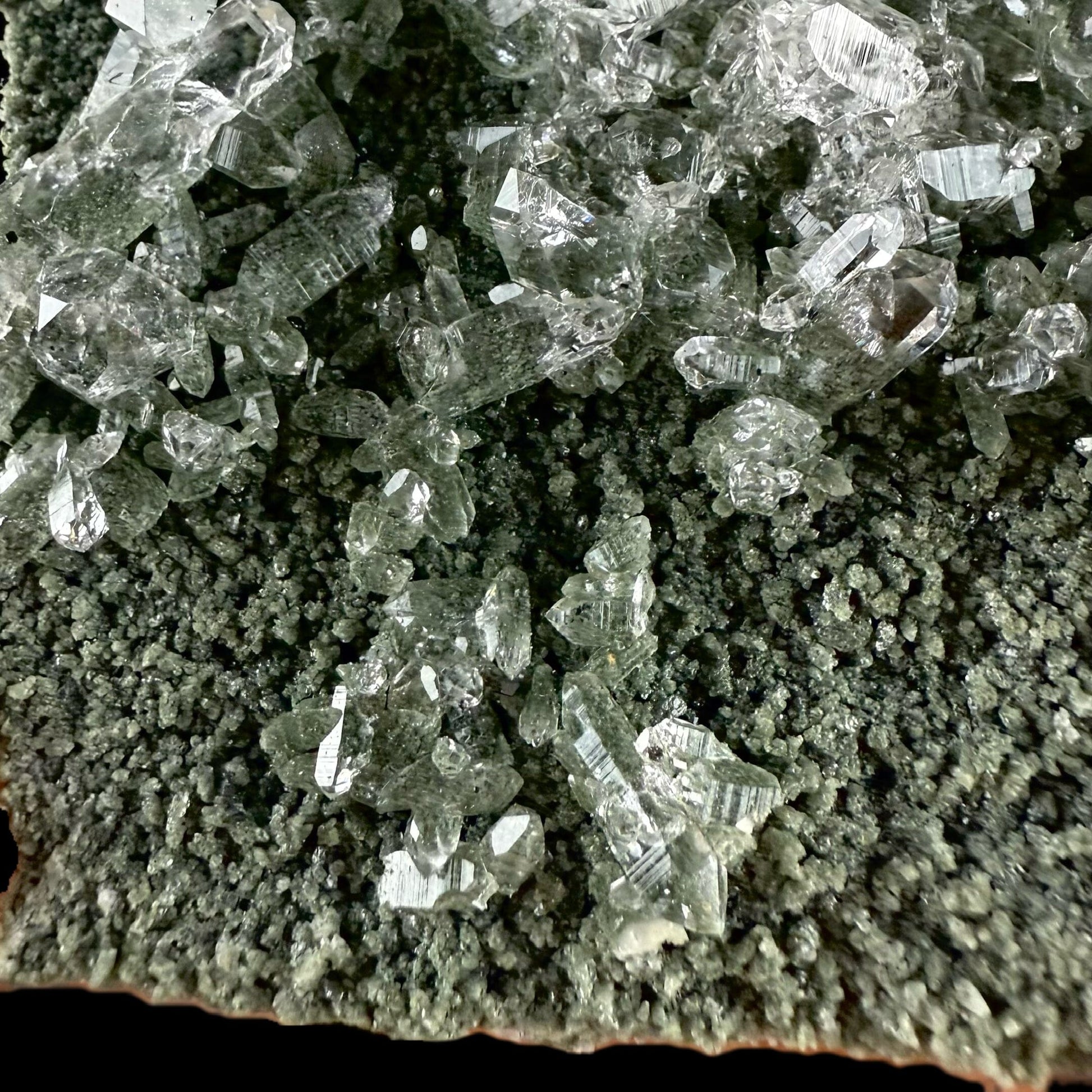 Lemurian Quartz on Sparkly Chlorite | High Quality Mineral | Indian Mineral | Superb Minerals | Collectors Piece | Fine Mineral Quartz Superb Minerals 