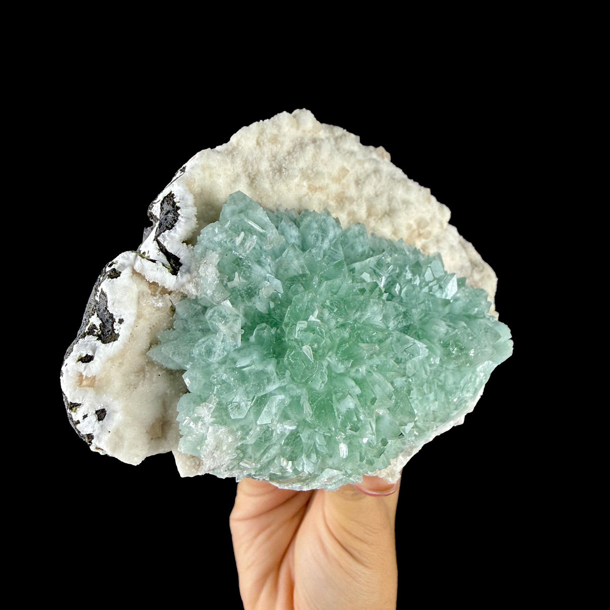 Lush Mint Green Apophyllite Cluster on Sparkling Chalcedony & Calcite Matrix - Collector’s Cabinet Specimen from Ahilyanagar, India # DKT185 Apophyllite Superb Minerals 