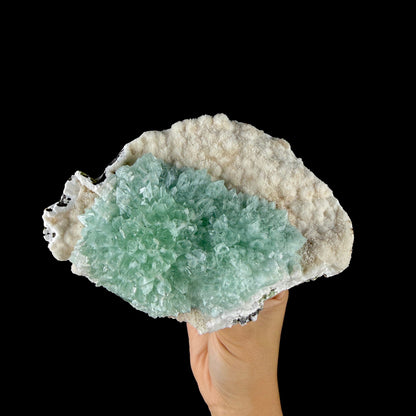 Lush Mint Green Apophyllite Cluster on Sparkling Chalcedony & Calcite Matrix - Collector’s Cabinet Specimen from Ahilyanagar, India # DKT185 Apophyllite Superb Minerals 