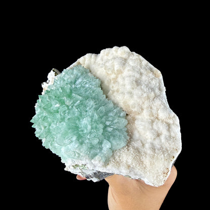 Lush Mint Green Apophyllite Cluster on Sparkling Chalcedony & Calcite Matrix - Collector’s Cabinet Specimen from Ahilyanagar, India # DKT185 Apophyllite Superb Minerals 