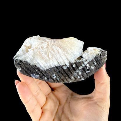 Lush Mint Green Apophyllite Crystal Cluster Nestled in Pearlescent Stilbite Matrix - Collector’s Cabinet Specimen from Jalgaon, India # DKT199 Apophyllite Superb Minerals 