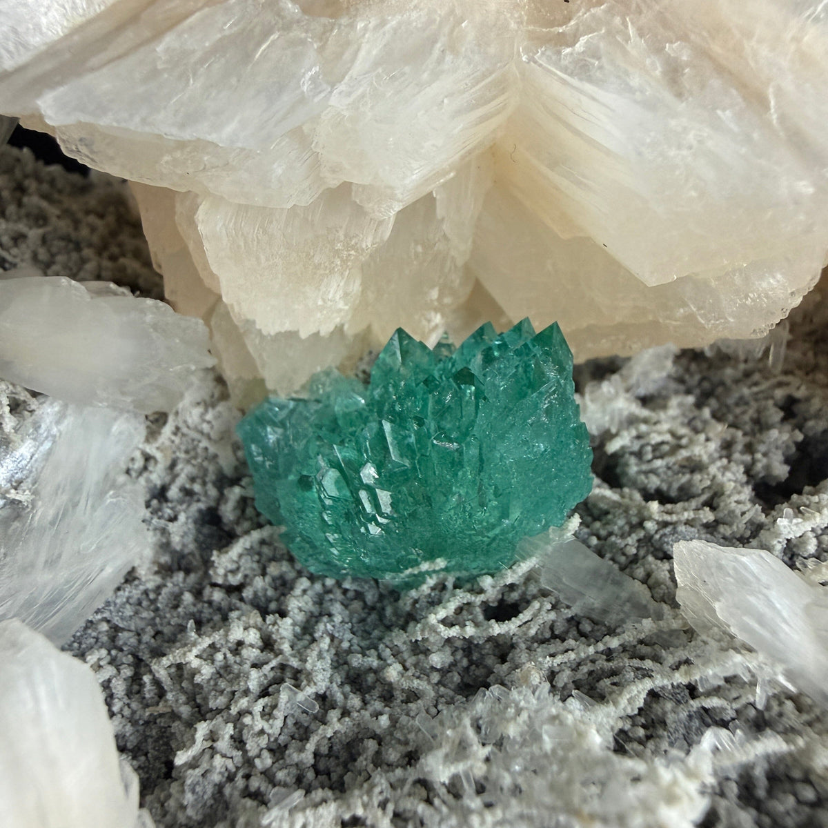 Lush Mint Green Apophyllite Crystal Cluster Nestled in Pearlescent Stilbite Matrix - Collector’s Cabinet Specimen from Jalgaon, India # DKT199 Apophyllite Superb Minerals 