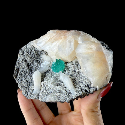 Lush Mint Green Apophyllite Crystal Cluster Nestled in Pearlescent Stilbite Matrix - Collector’s Cabinet Specimen from Jalgaon, India # DKT199 Apophyllite Superb Minerals 