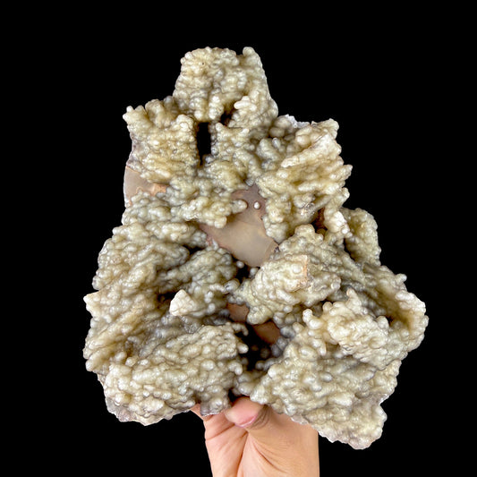 Lustrous Botryoidal Agatised Chalcedony Formation - Collector’s Large Cabinet Specimen from Chhatrapati Sambhaji Nagar, India # DKT161 Chalcedony Superb Minerals 