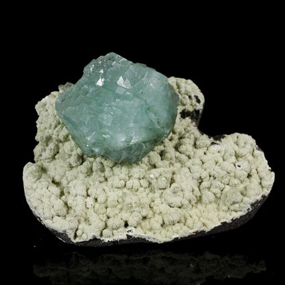 Lustrous Cubic Green Apophyllite on Pale Green Chalcedony Matrix - Natural Specimen from Pune, India # B 7207 Apophylite Superb Minerals 