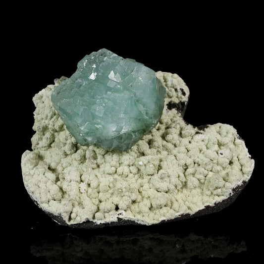 Lustrous Cubic Green Apophyllite on Pale Green Chalcedony Matrix - Natural Specimen from Pune, India # B 7207 Apophylite Superb Minerals 