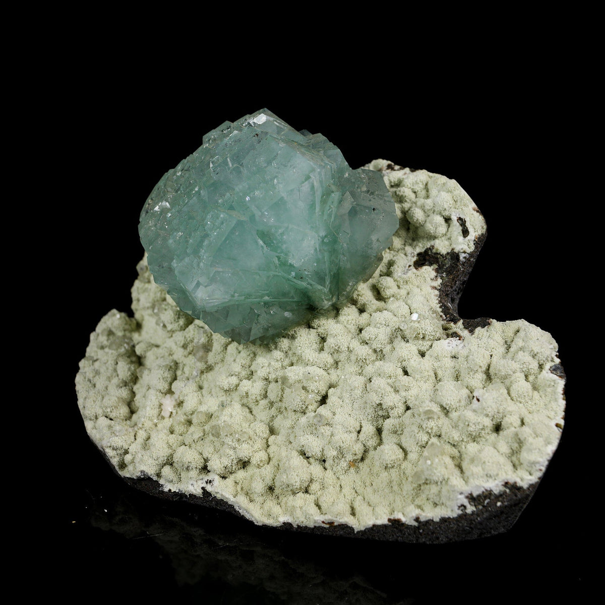 Lustrous Cubic Green Apophyllite on Pale Green Chalcedony Matrix - Natural Specimen from Pune, India # B 7207 Apophylite Superb Minerals 