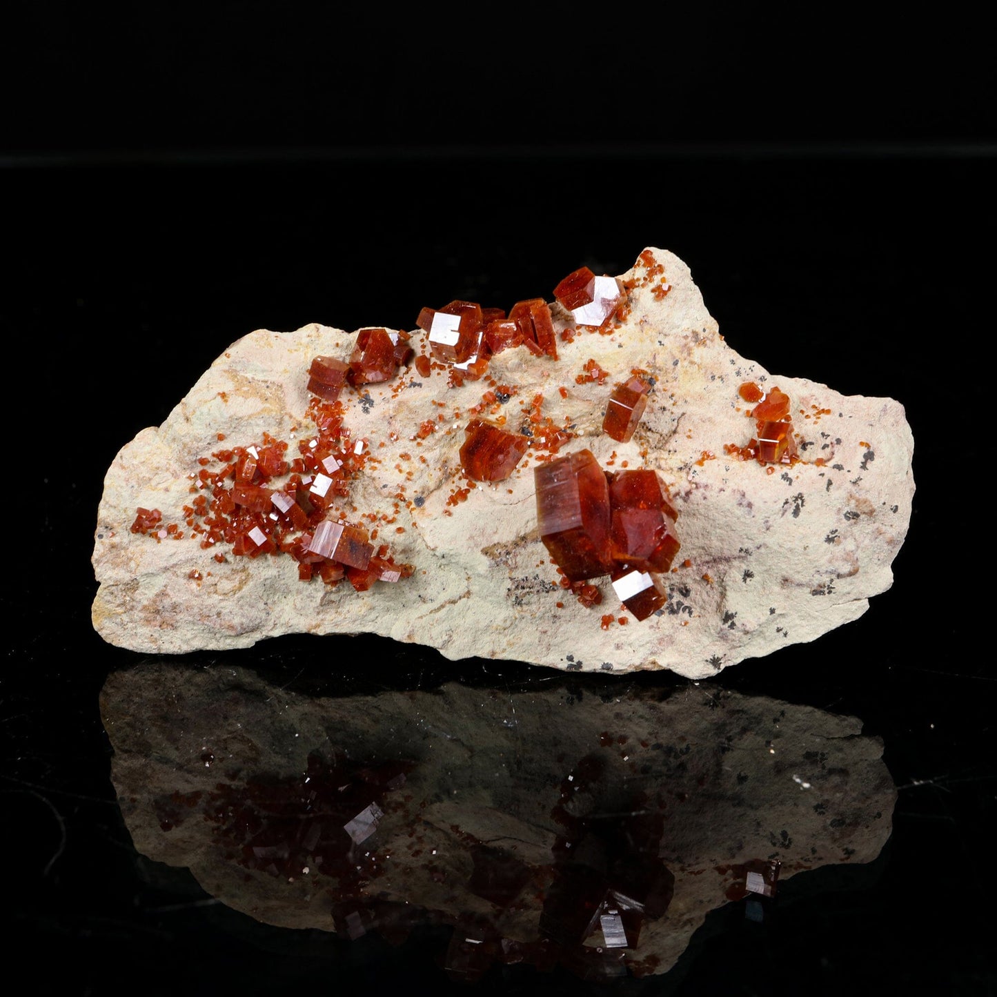 Lustrous Deep Red-Orange Vanadinite Crystals on Natural Matrix - Classic Collector Specimen from Mibladen, Morocco # B 7212 Vanadinite Superb Minerals 