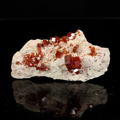 Lustrous Deep Red-Orange Vanadinite Crystals on Natural Matrix - Classic Collector Specimen from Mibladen, Morocco # B 7212 Vanadinite Superb Minerals 