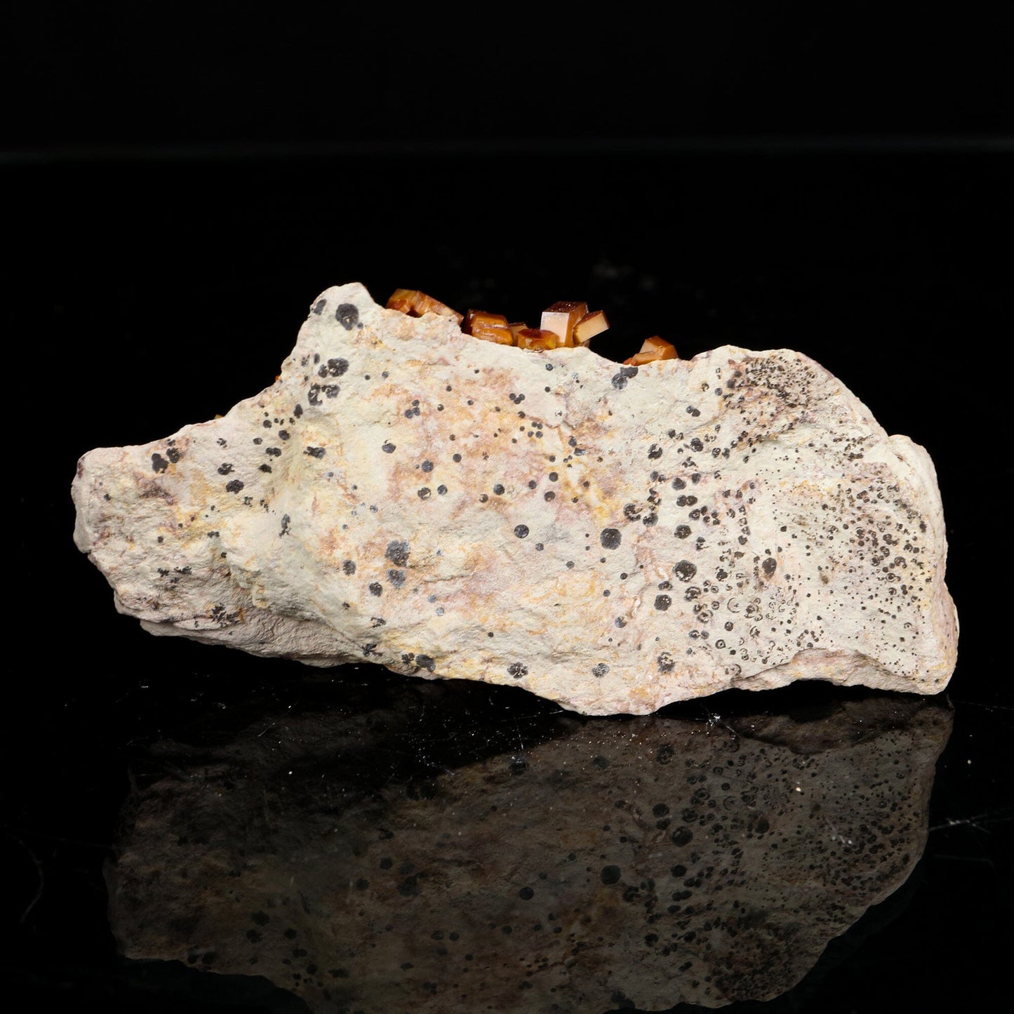 Lustrous Deep Red-Orange Vanadinite Crystals on Natural Matrix - Classic Collector Specimen from Mibladen, Morocco # B 7212 Vanadinite Superb Minerals 