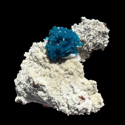 Lustrous Electric-Blue Cavansite Rosette with Stilbite on Sparkling Heulandite Matrix – Rare Indian Zeolite Mineral Specimen from Pune # B DKT138 Cavansite Superb Minerals 