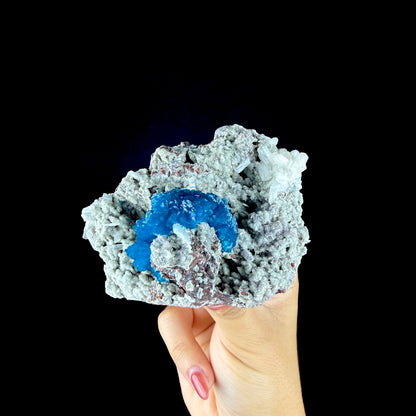 Lustrous Electric-Blue Cavansite Rosette with Stilbite on Sparkling Heulandite Matrix – Rare Indian Zeolite Mineral Specimen from Pune # DKT183 Cavansite Superb Minerals 