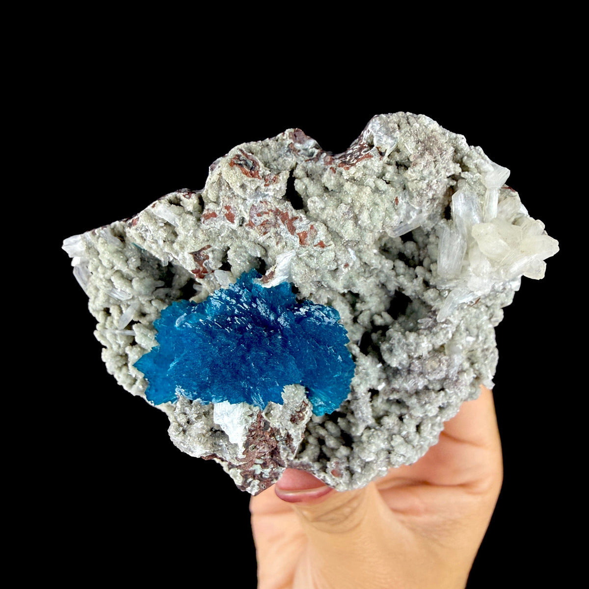 Lustrous Electric-Blue Cavansite Rosette with Stilbite on Sparkling Heulandite Matrix – Rare Indian Zeolite Mineral Specimen from Pune # DKT183 Cavansite Superb Minerals 
