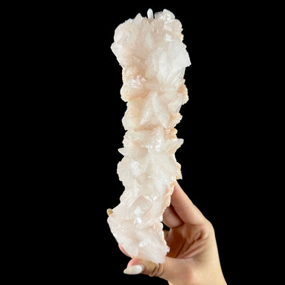 Lustrous Heulandite Crystal Cluster - Collector’s Cabinet Specimen from Madhya Pradesh # DKT166 Heulandite Superb Minerals 