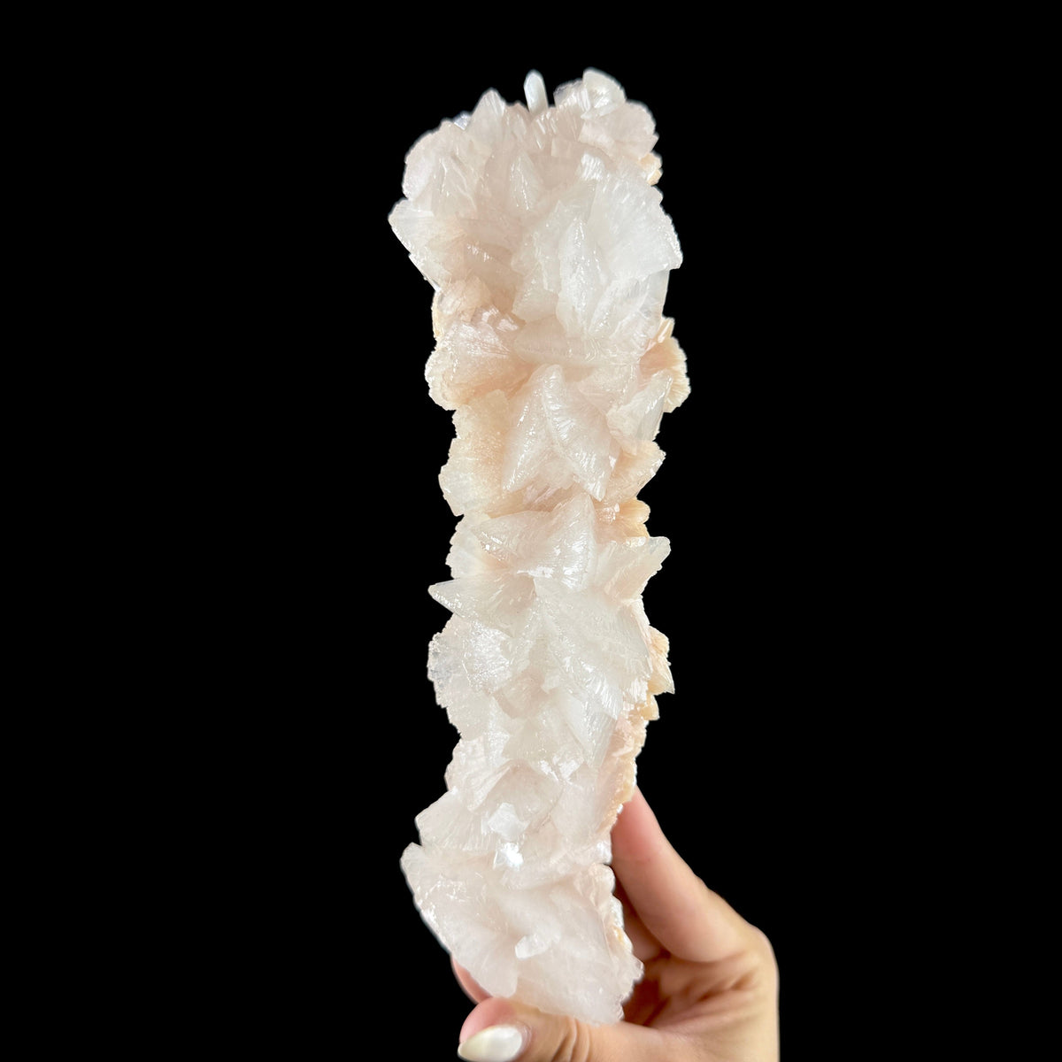 Lustrous Heulandite Crystal Cluster - Collector’s Cabinet Specimen from Madhya Pradesh # DKT166 Heulandite Superb Minerals 