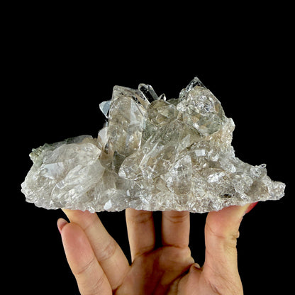 Lustrous Himalayan Clear Quartz Crystal Cluster with Chlorite Inclusions - Fine Cabinet Specimen from Himachal Pradesh, India # DKT201 Quartz Superb Minerals 