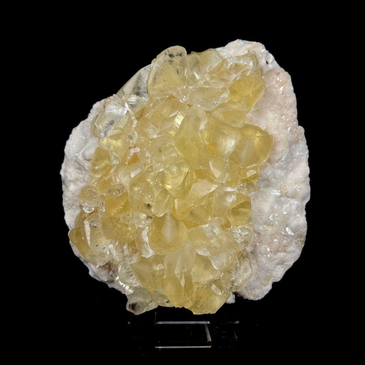 Lustrous Honey-Yellow Calcite Clusters on Pearlescent White Heulandite Matrix - Collector’s Cabinet Specimen from Chhatrapati Sambhaji Nagar, India # DKT174 Heulandite Superb Minerals 