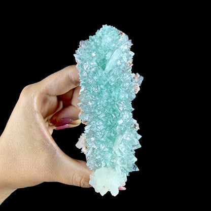Lustrous Mint Green Apophyllite Cluster with Stilbite & Heulandite - Rare Collector’s Indian Specimen from Madhya Pradesh #DKT155 apophyllite Superb Minerals 
