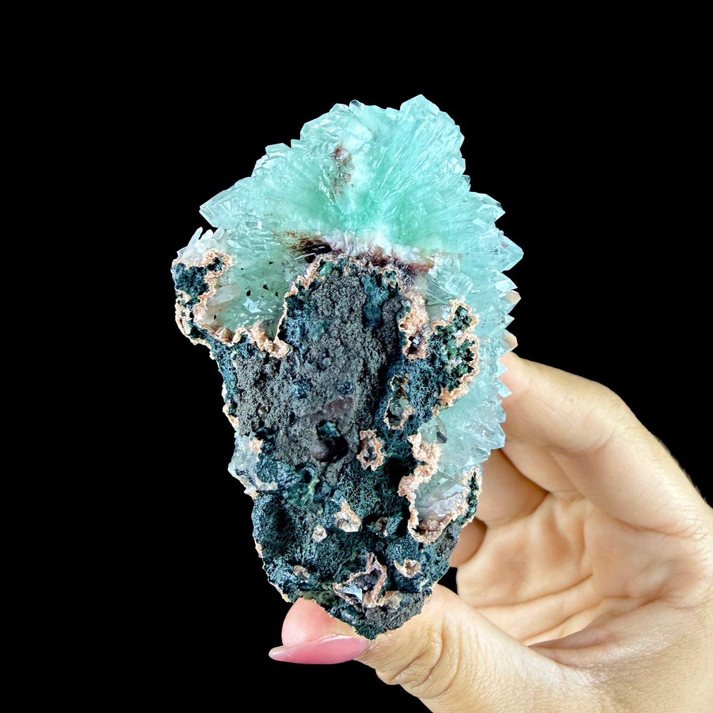Lustrous Mint Green Apophyllite Rosette Spray on Heulandite Matrix - Rare Collector’s Indian Specimen from Madhya Pradesh #DKT158 apophyllite Superb Minerals 